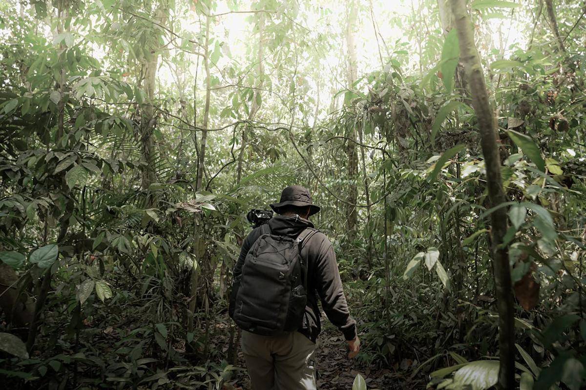 Ilustrasi pendaki trekking