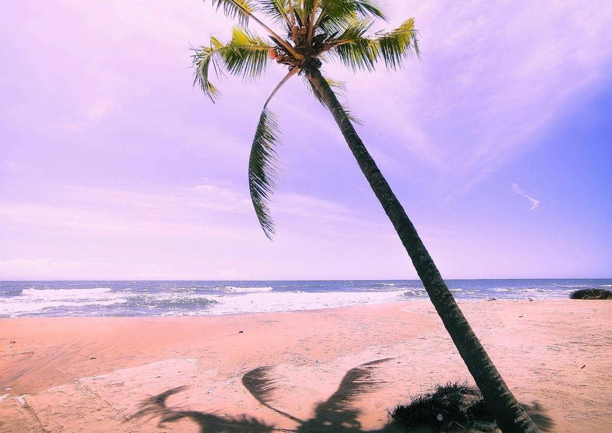 ilustrasi Pantai Tien Sa, Vietnam