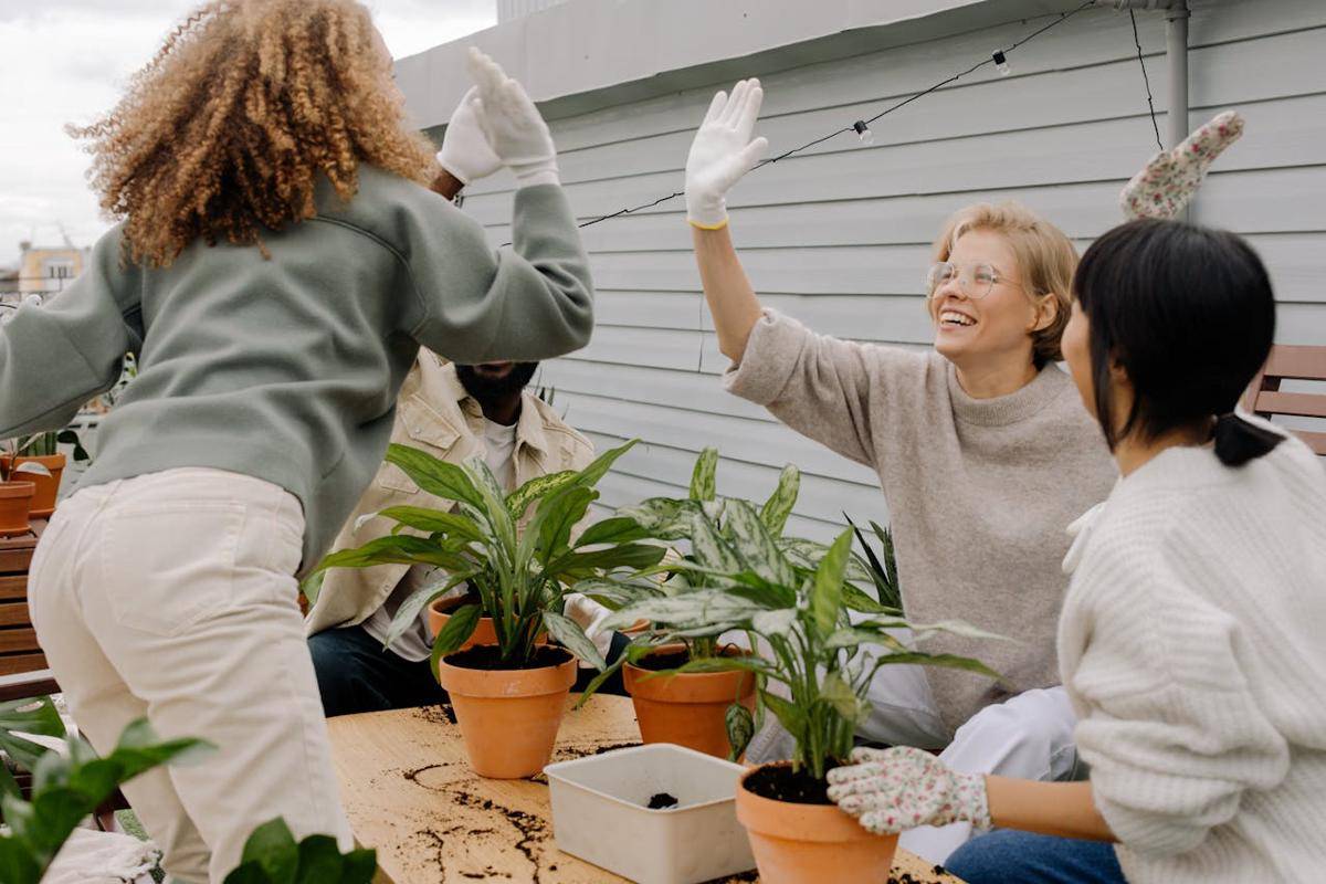 ilustrasi berkebun bersama (pexels.com/cottonbro studio)