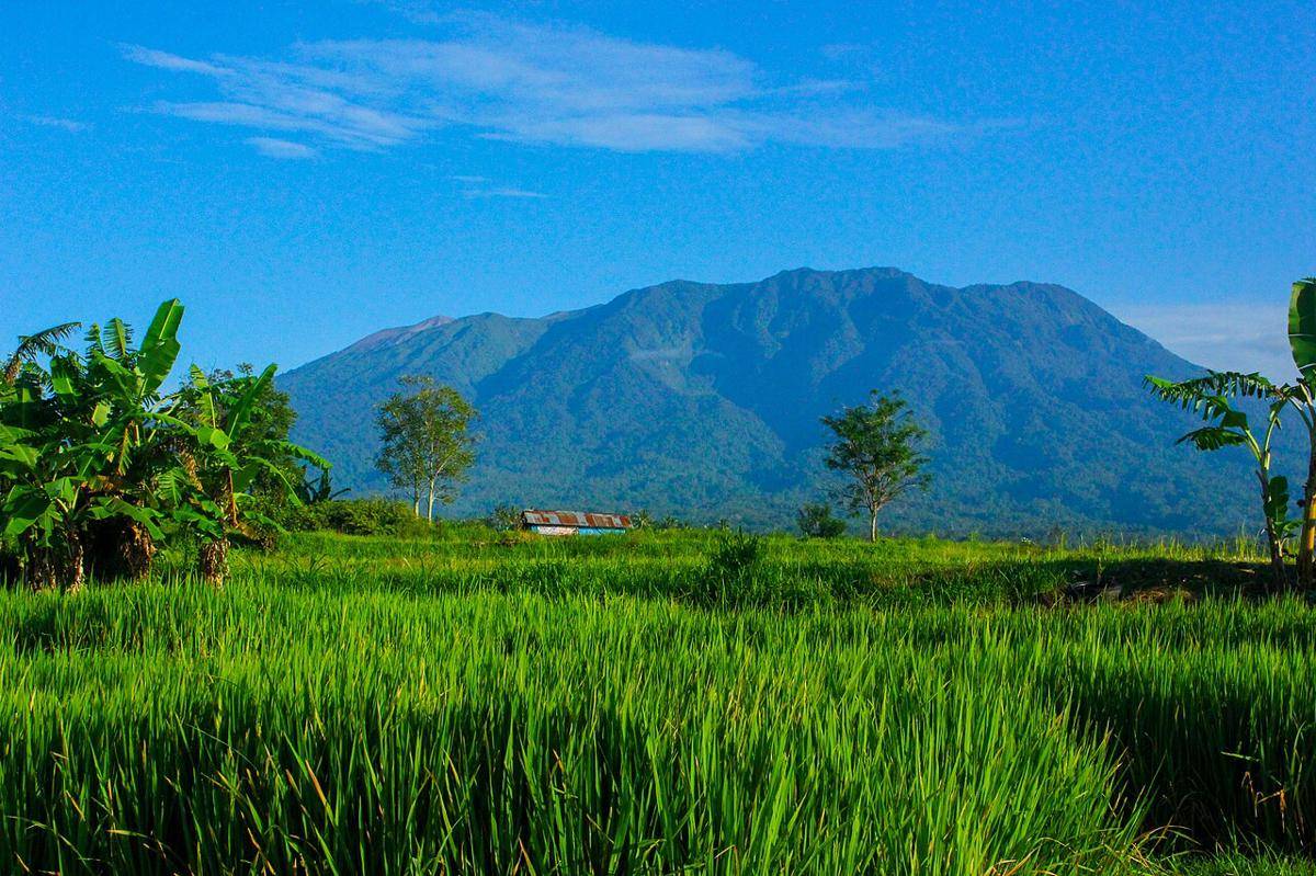 ilustrasi Gunung Marapi