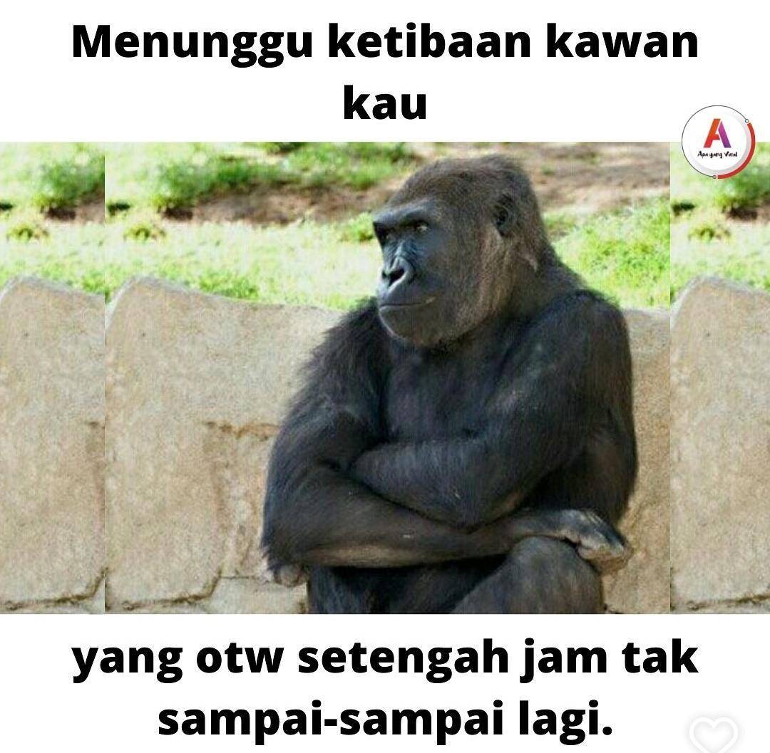 meme janji palsu