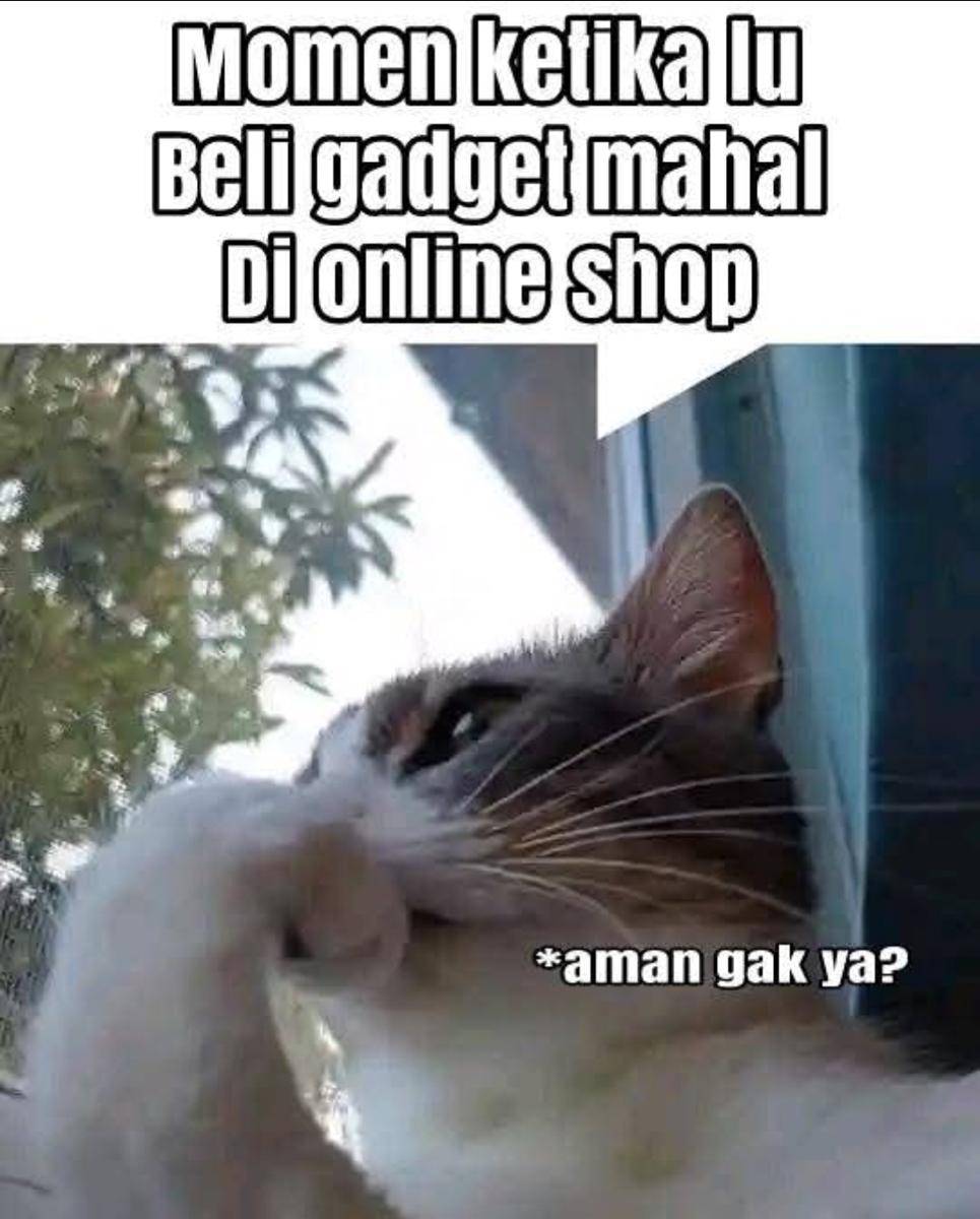 meme takut