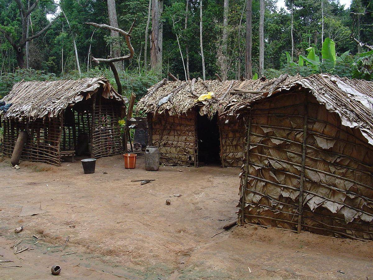 potret tempat tinggal pigmi di utara Republik Kongo (commons.wikimedia.org/Yelm)