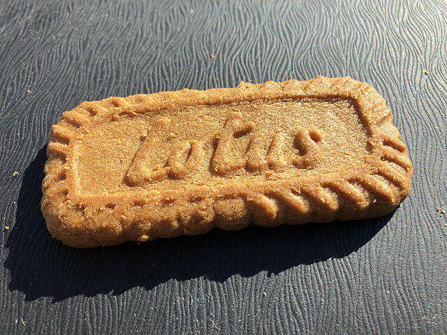 ilustrasi lotus biscoff