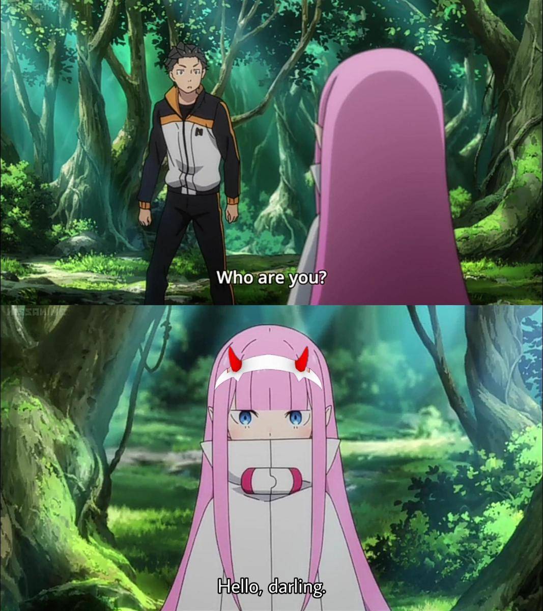 meme Zero Two