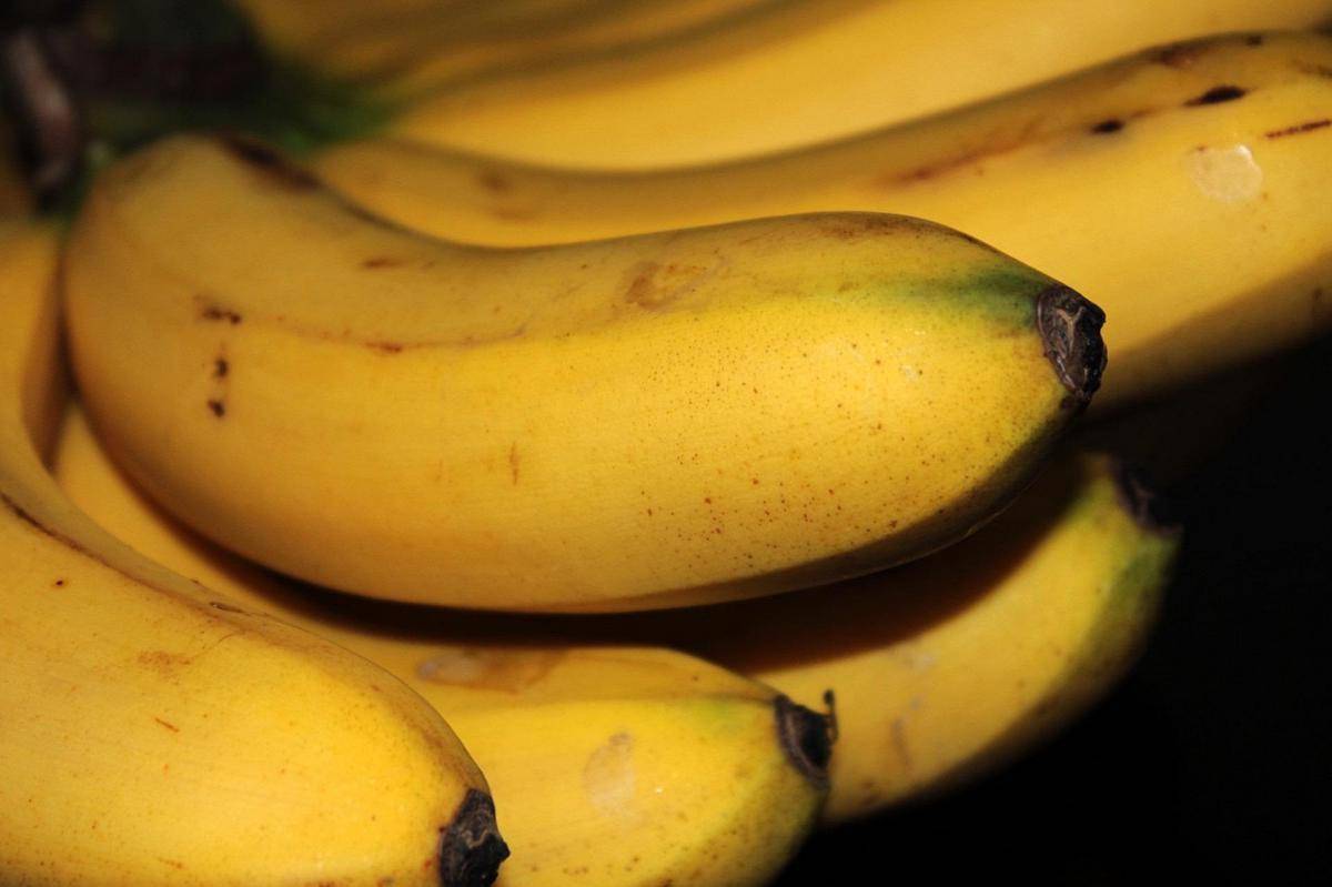 ilustrasi pisang