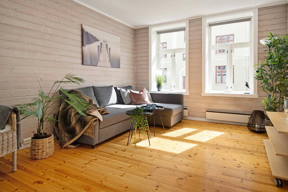 ilustrasi rumah dengan interior natural (unsplash.com/Lisa Anna)