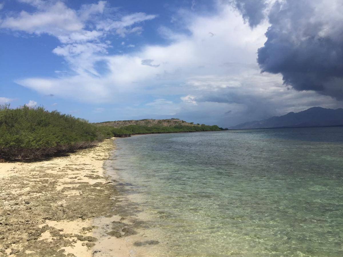 potret Pulau Menjangan (commons.wikimedia.org/Winsonchu95)