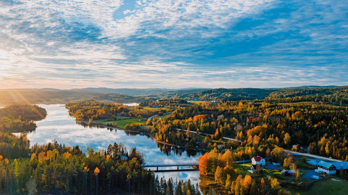 Swedia 