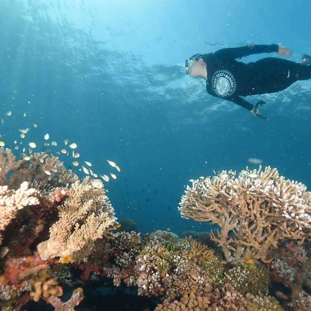 snorkeling di Biorock Pemuteran