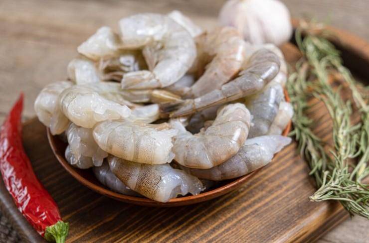 ilustrasi udang
