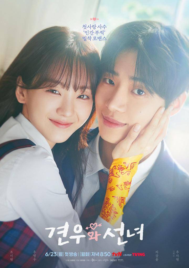 poster drama Head Over Heels (dok. tvN/Head Over Heels)