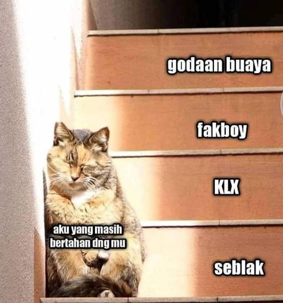 meme kocak penikmat seblak