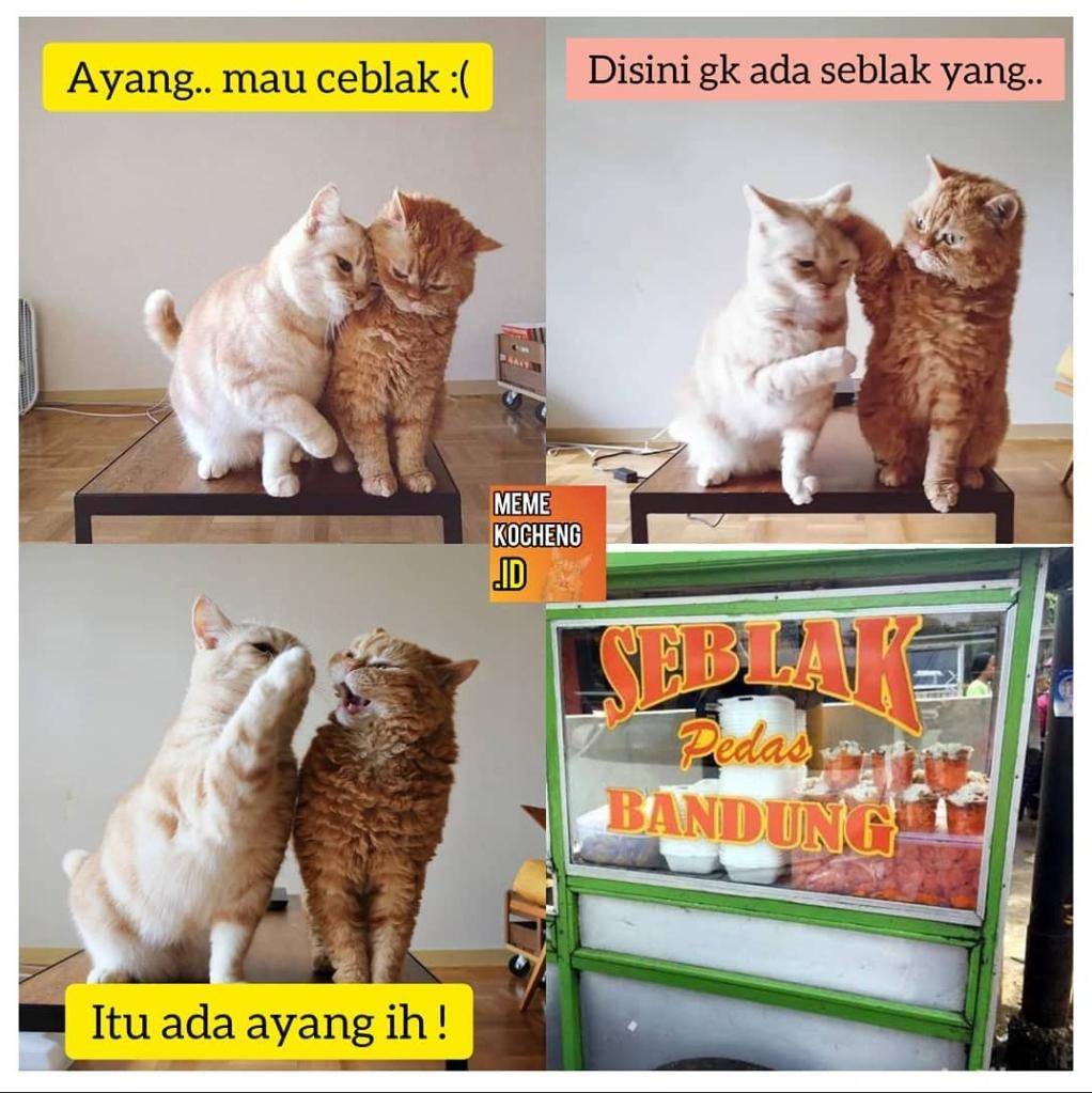 meme kocak penikmat seblak