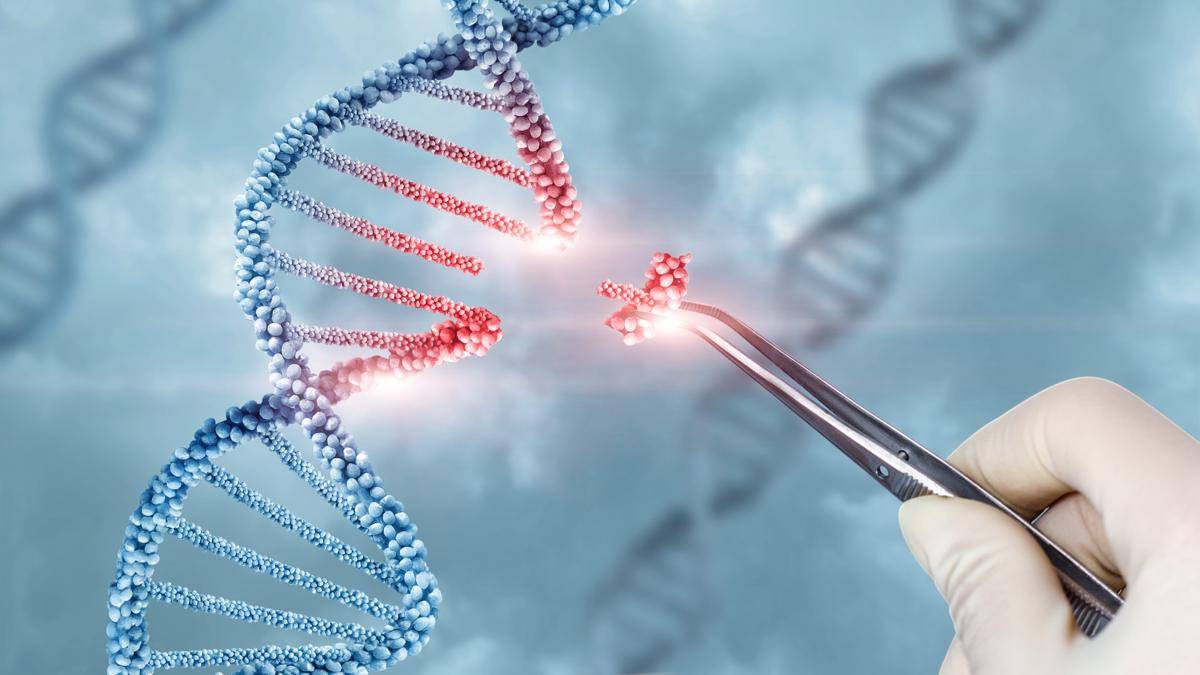 Ilustrasi rekayasa genetika (Shutterstock/Natali_Mis)