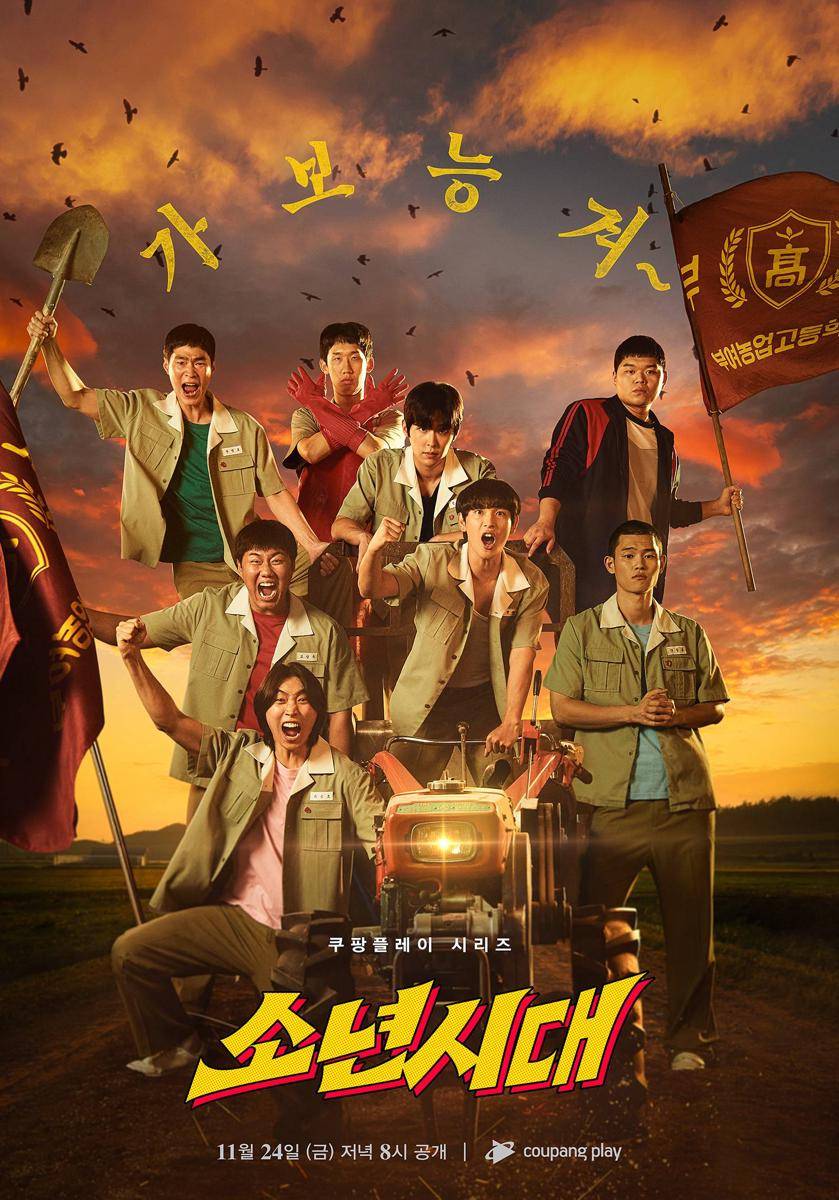 Poster drama Once Upon a Boyhood