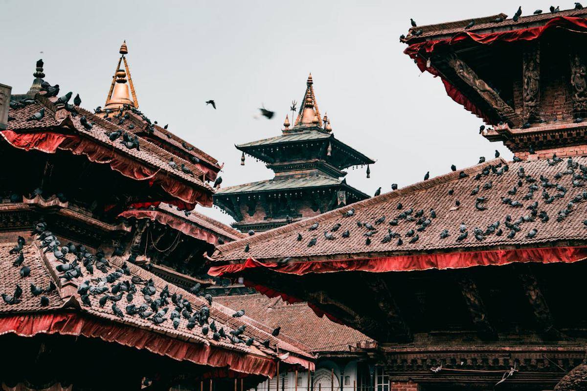 ilustrasi negara Nepal (pexels.com/Wedding Vibes)
