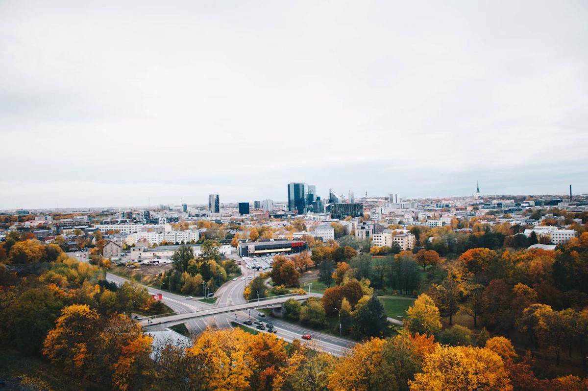 ilustrasi negara Estonia (pexels.com/Kristina Paukshtite)