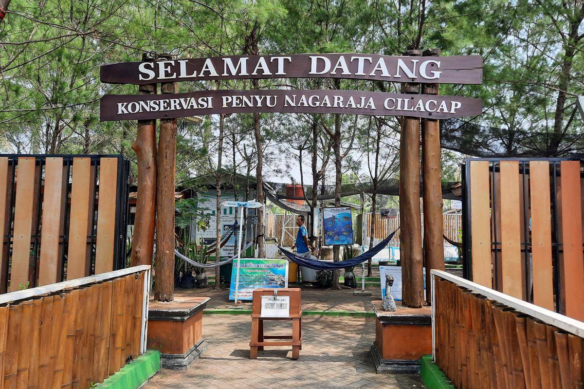 Konservasi Penyu Nagaraja Cilacap (dok. pribadi/Fatma R.N)