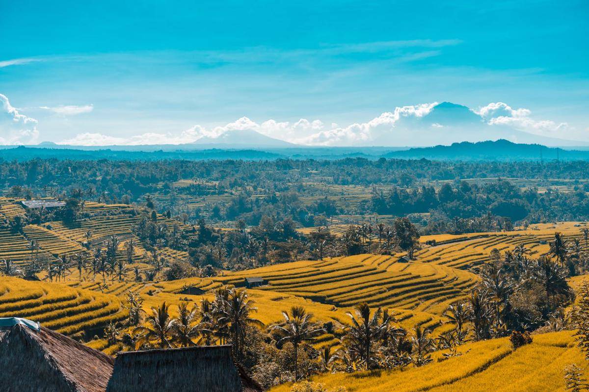 potret Gunung Batukaru (pexels.com/Guillaume Meurice)
