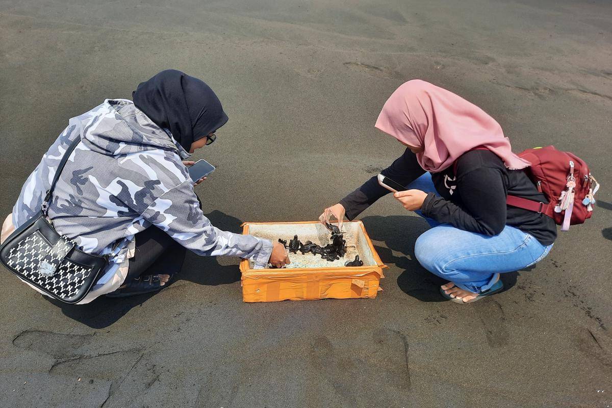 potret pelepasan tukik di Pantai Sodong (dok. pribadi/Fatma R.N)