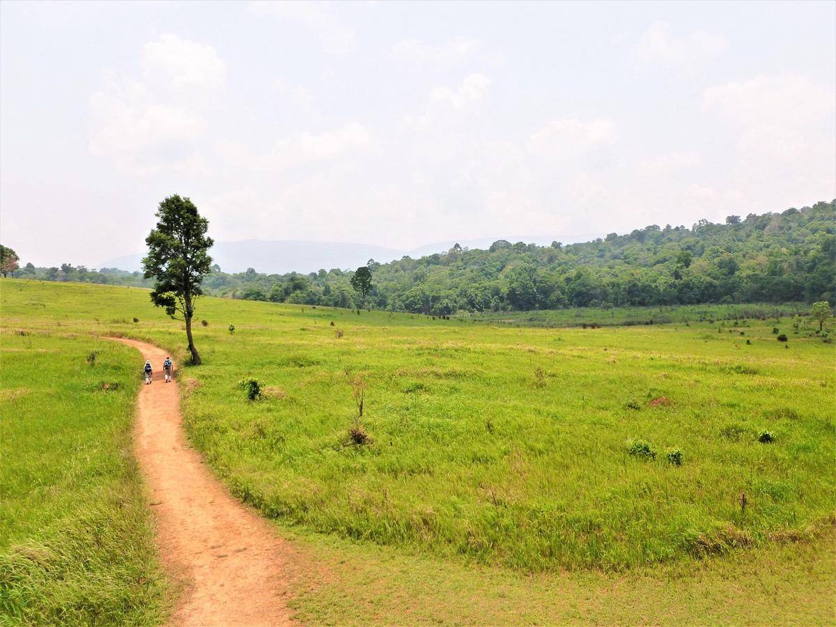 Khao Yai Garden di Thailand