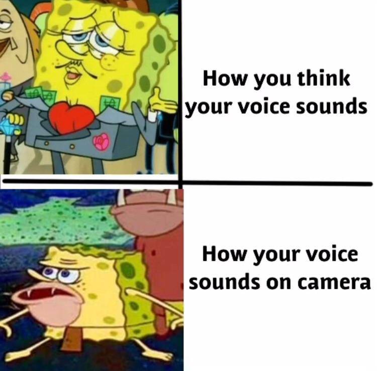 meme SpongeBob tentang kamera