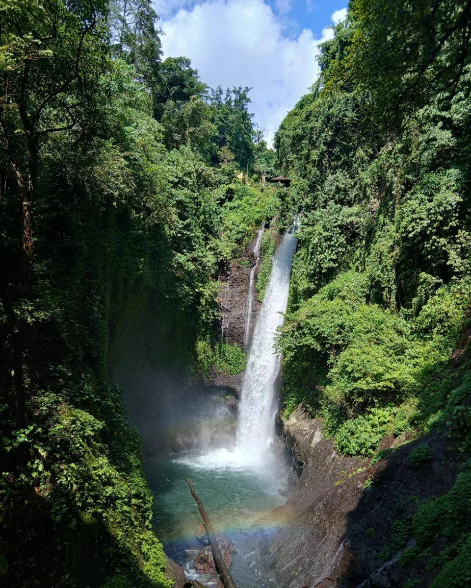 potret pemandangan di Air Terjun Aling-aling (instagram.com/alingalingwaterfall.northbali)