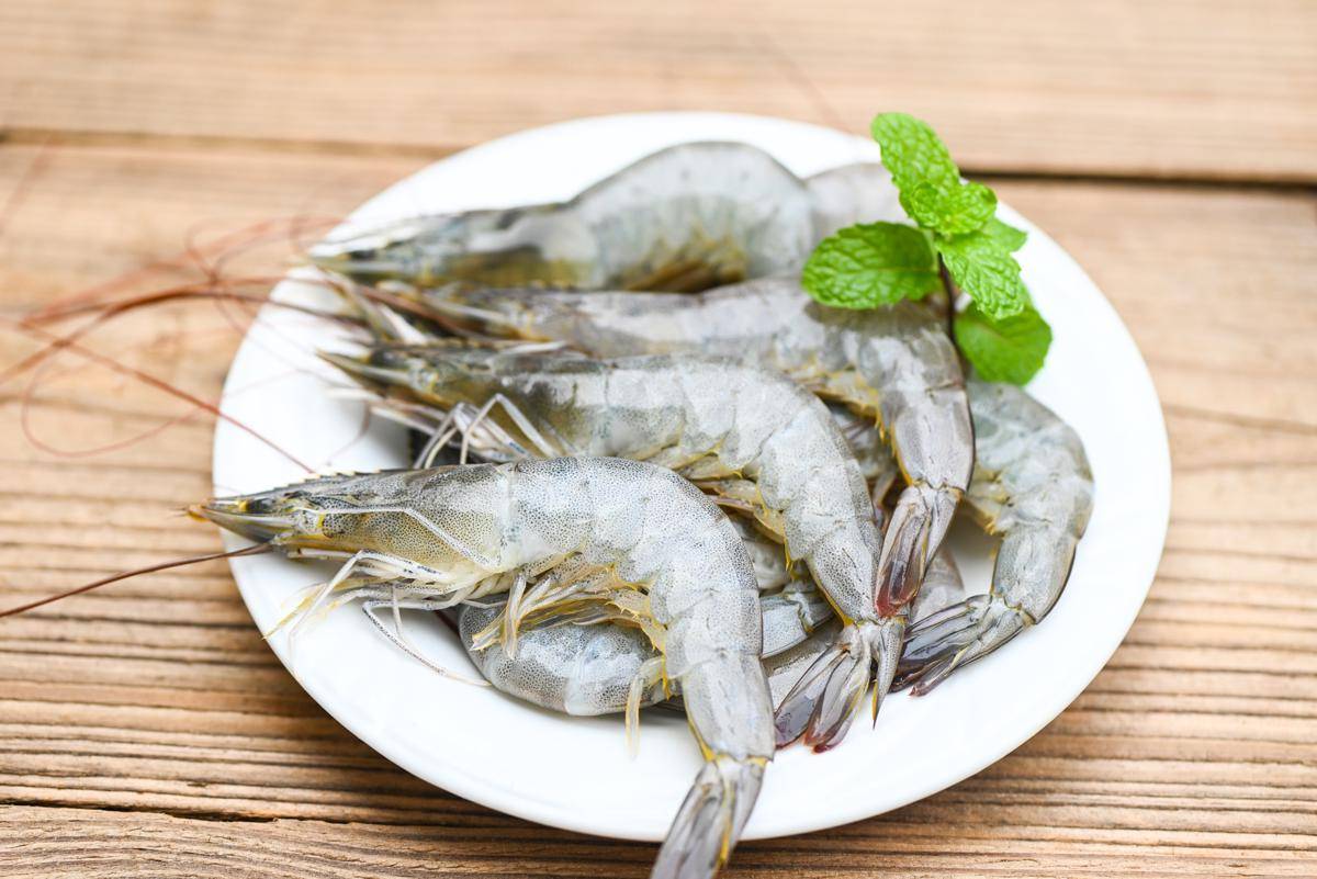 potret udang segar di atas piring