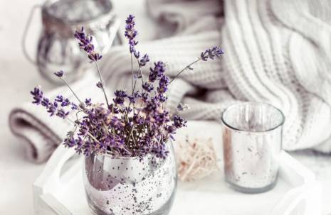 ilustrasi bunga lavender (freepik.com/pvproductions)