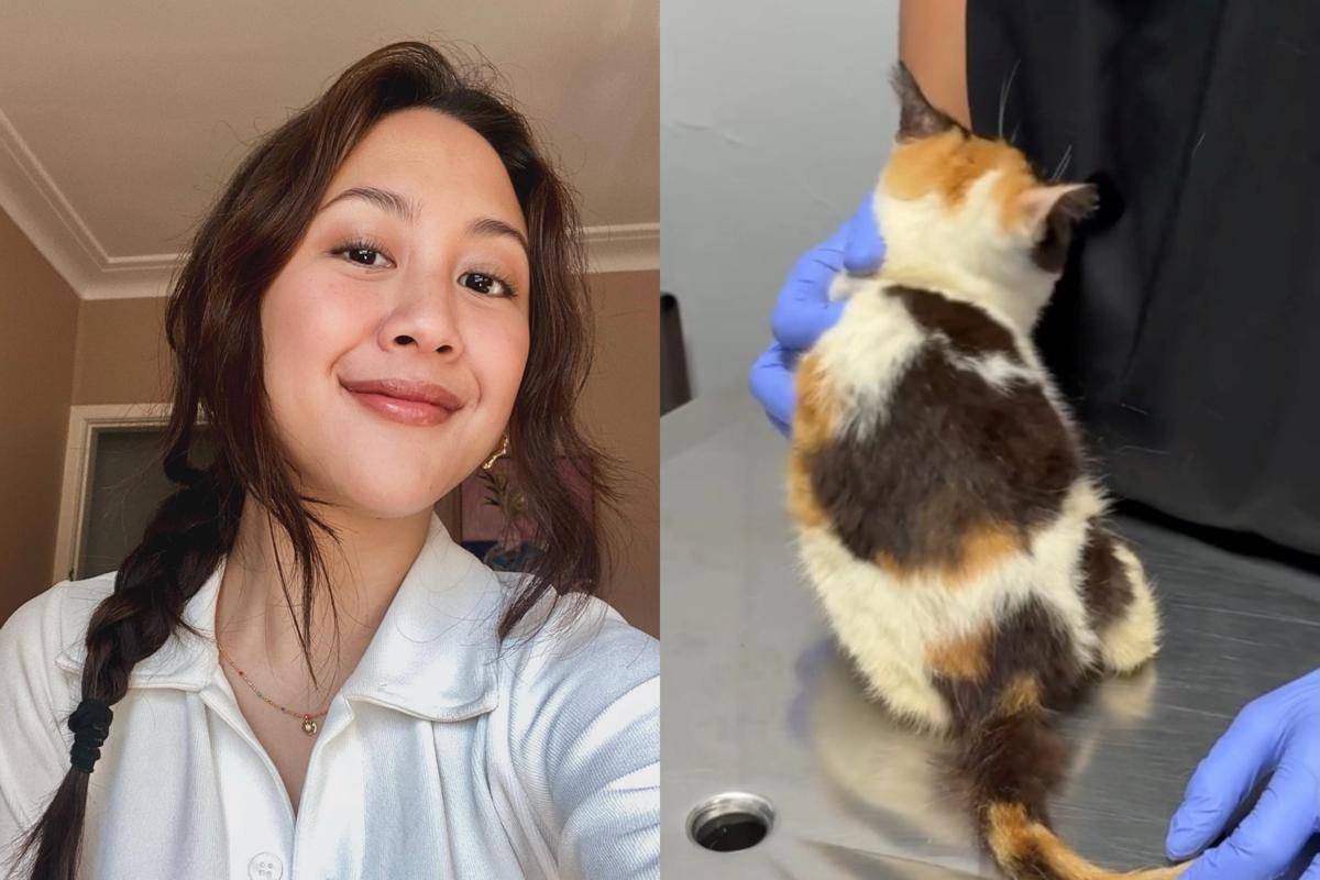Sherina Munaf bagikan update tentang kucing Uya Kuya