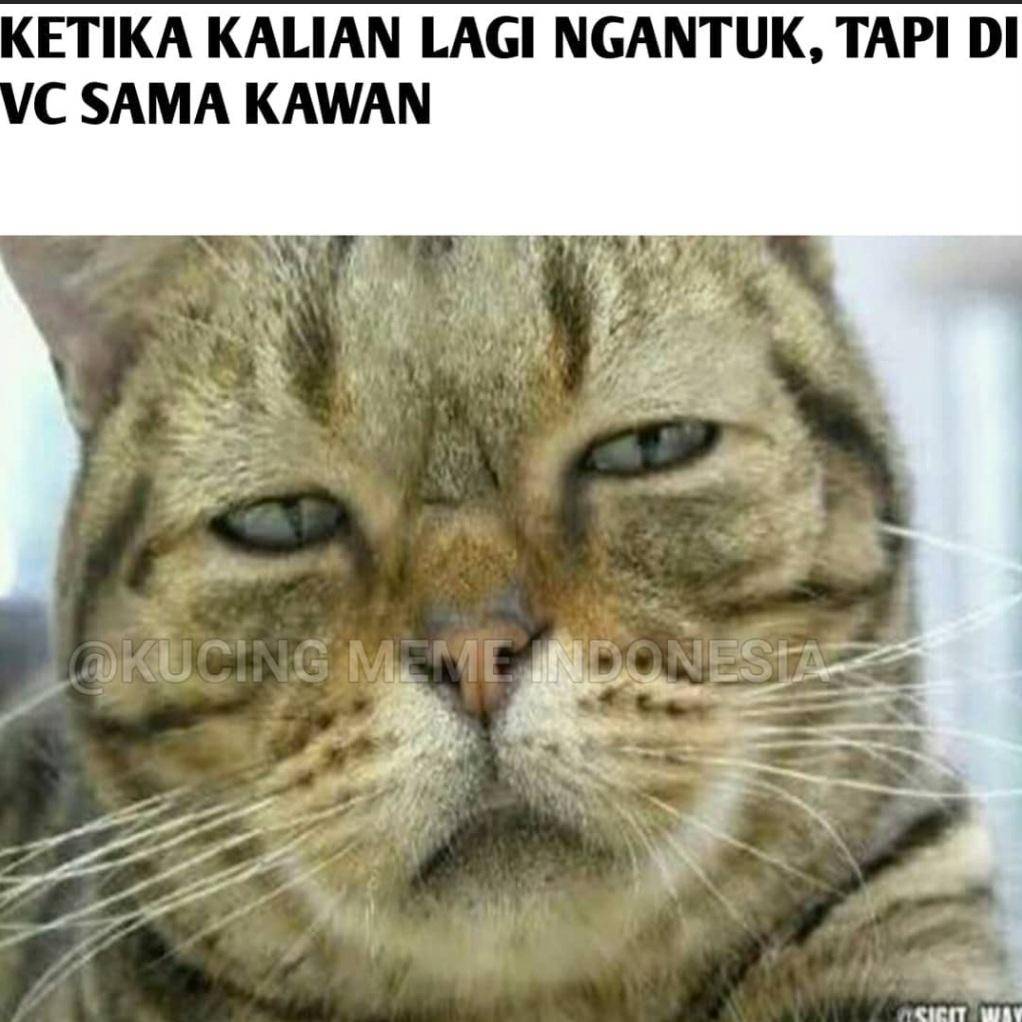 meme ngantuk