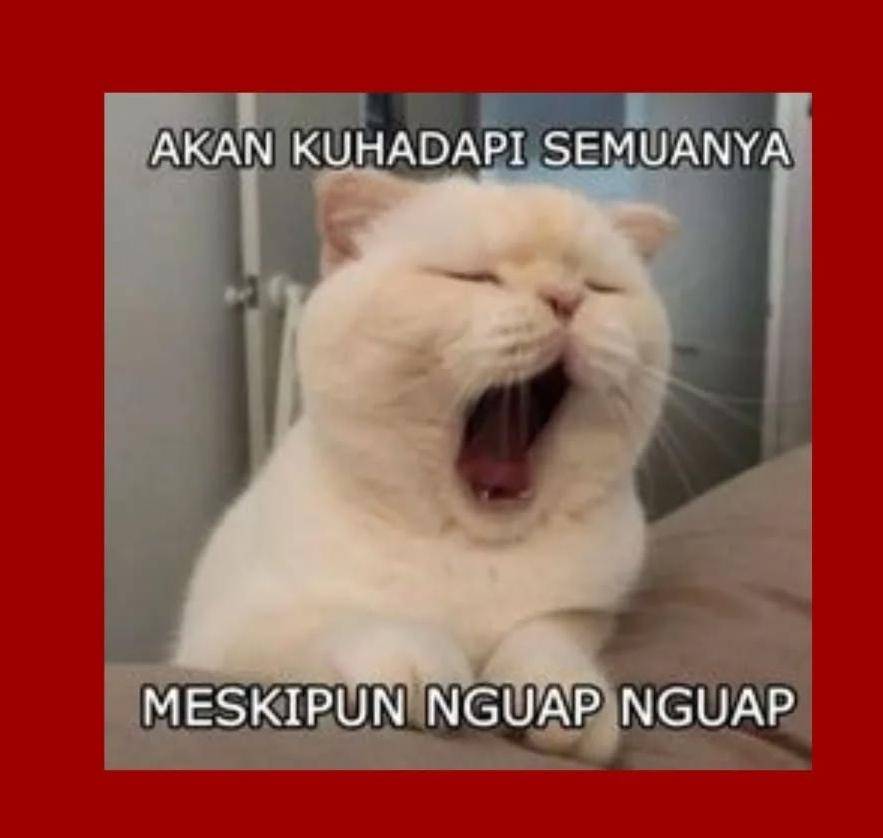 meme ngantuk