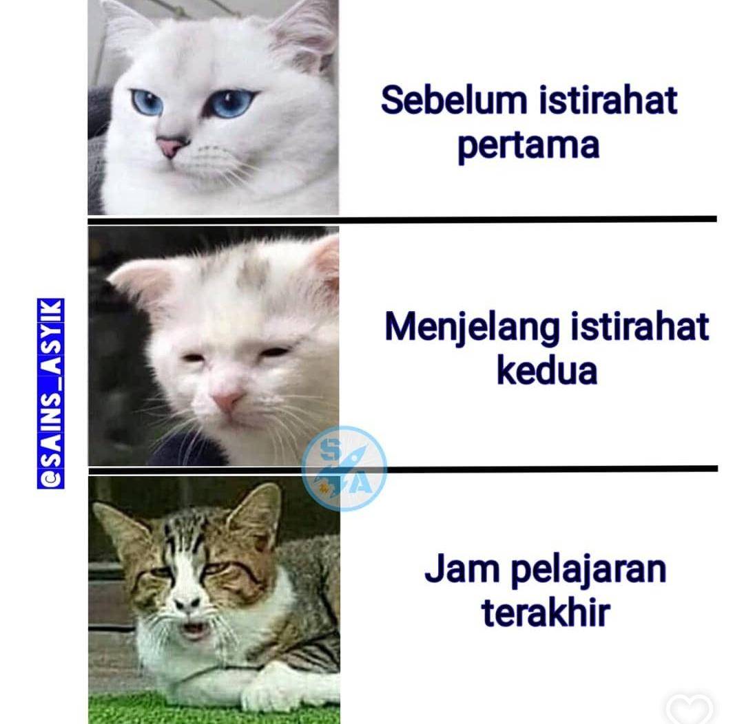 meme ngantuk