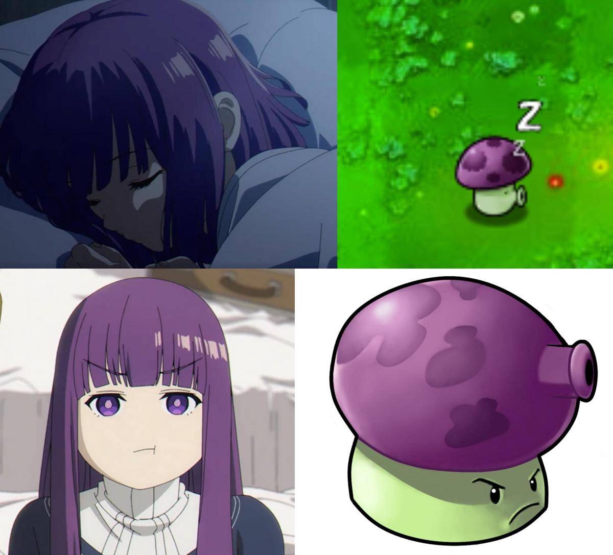 meme Fern
