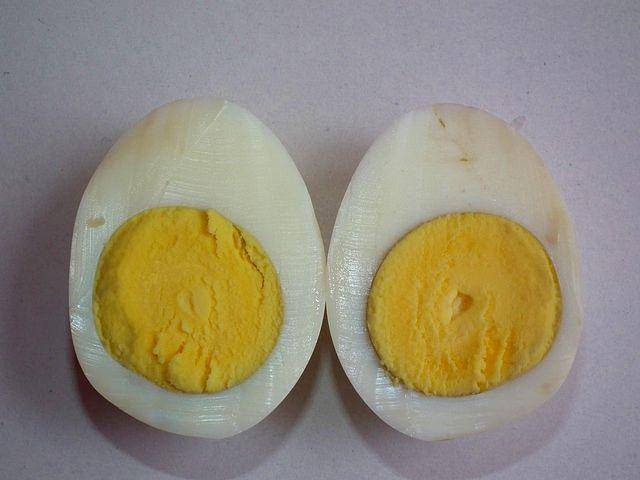 ilustrasi belah telur (commons.wikimedia.org/Ramesh NG)