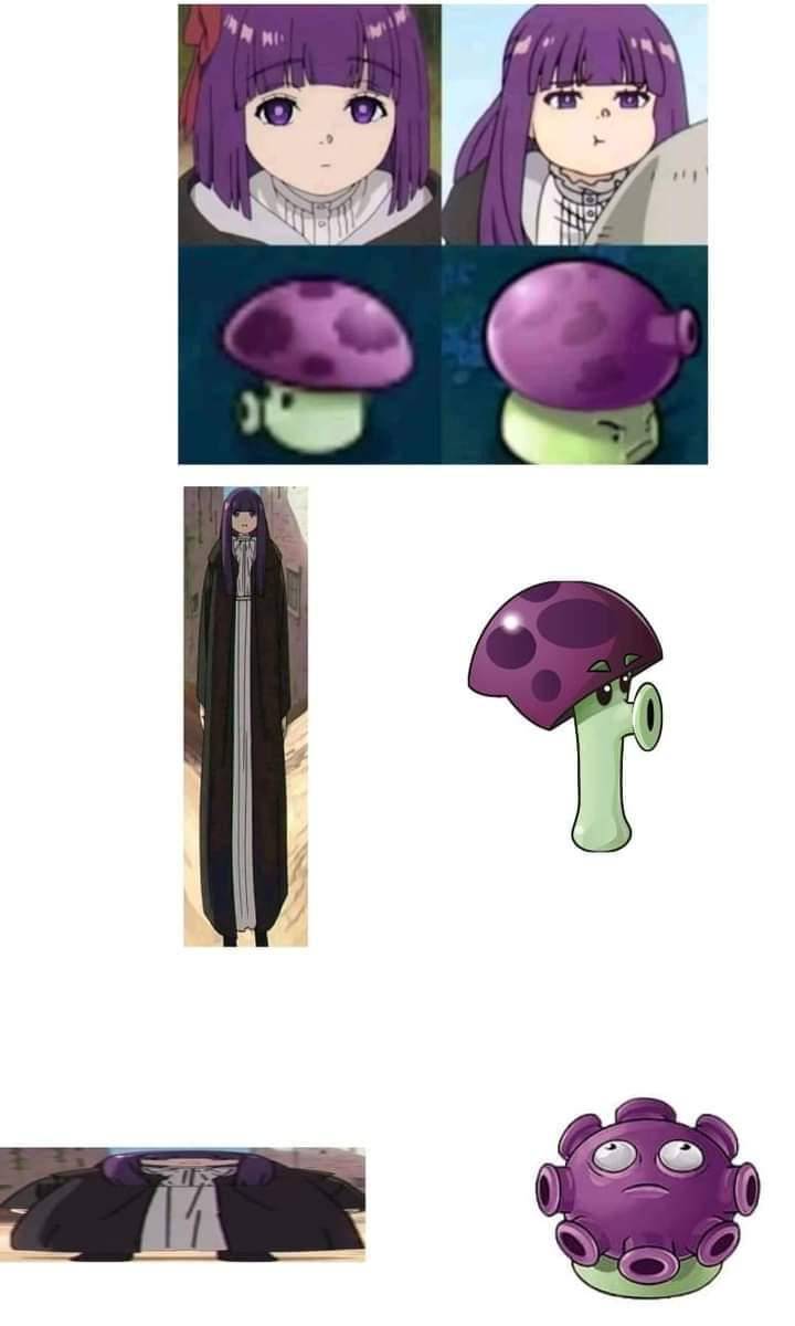 meme Fern