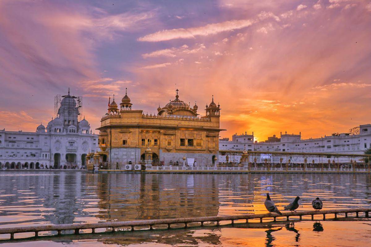 ilustrasi India (pexels.com/Nav Photography)