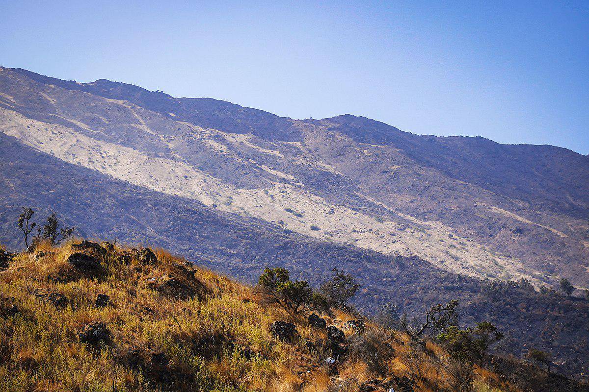potret jalan menuju puncak Gunung Kamerun