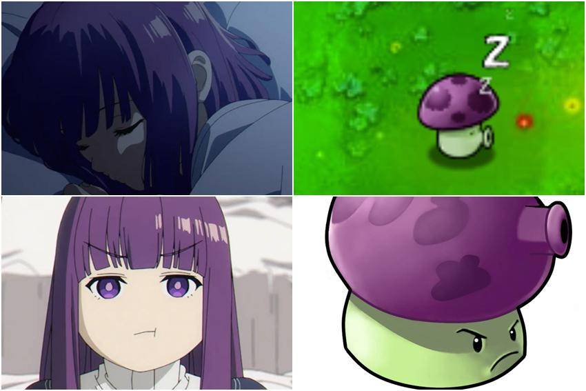 meme Fern