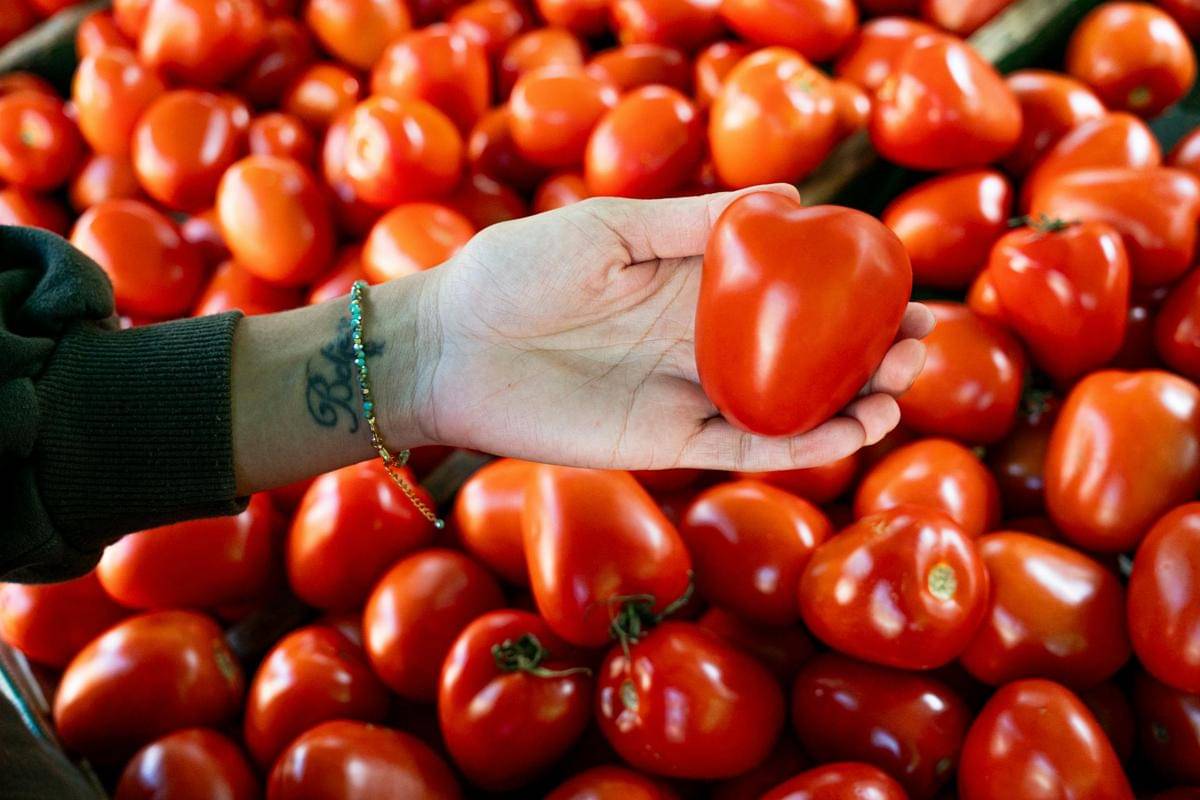 ilustrasi tomat (pexels.com/_brunovisual)