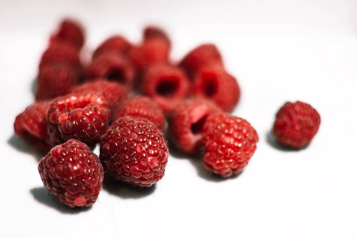 ilustrasi raspberi