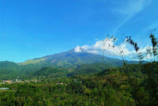 ilustrasi gunung (pexels.com/nacasnimo ngebontrip)