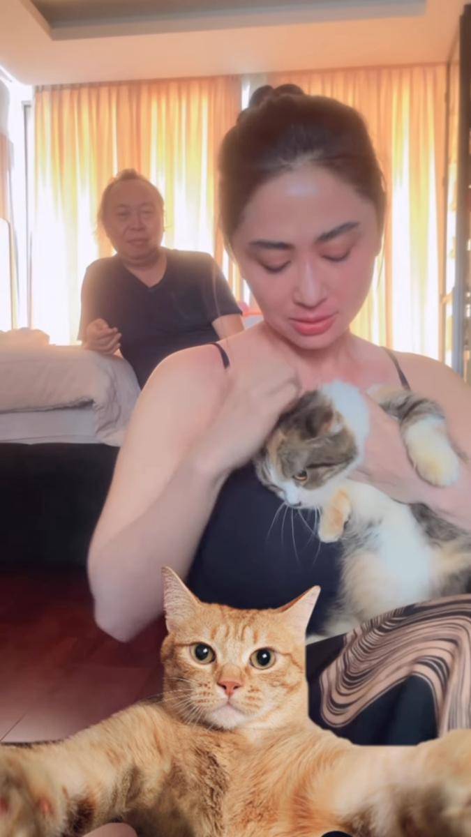 Dewi Perssik rawat kucing Eko patrio