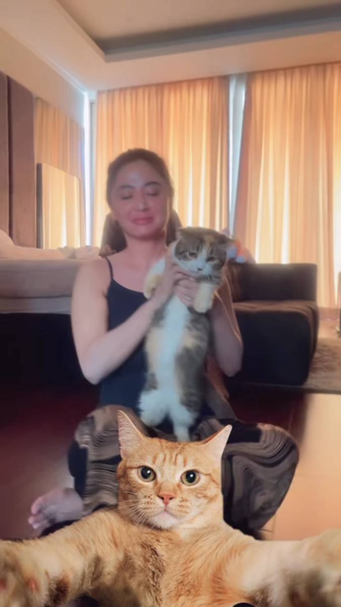 Dewi Perssik rawat kucing Eko patrio
