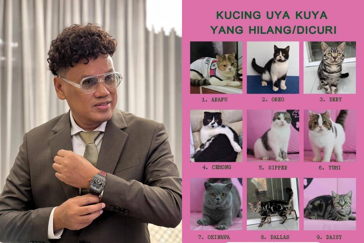Kucing Uya Kuya