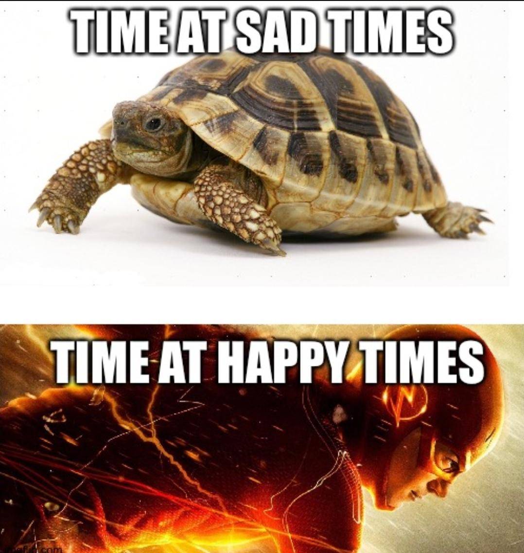 meme hal yang jalannya lambat 