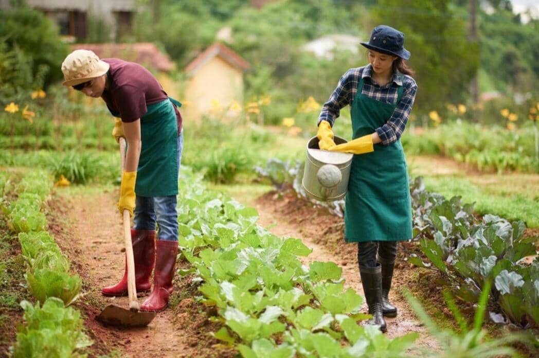 Berkebun (freepik.com/pressfoto) 
