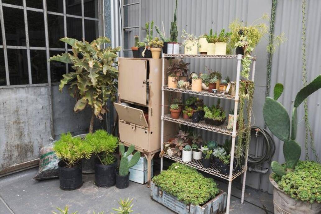 Kebun Mini (freepik.com/freepik) 