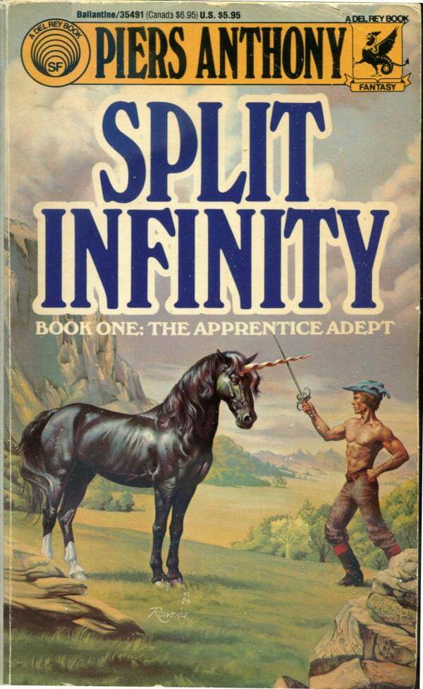Sampul Split Infinity (goodreads.com)